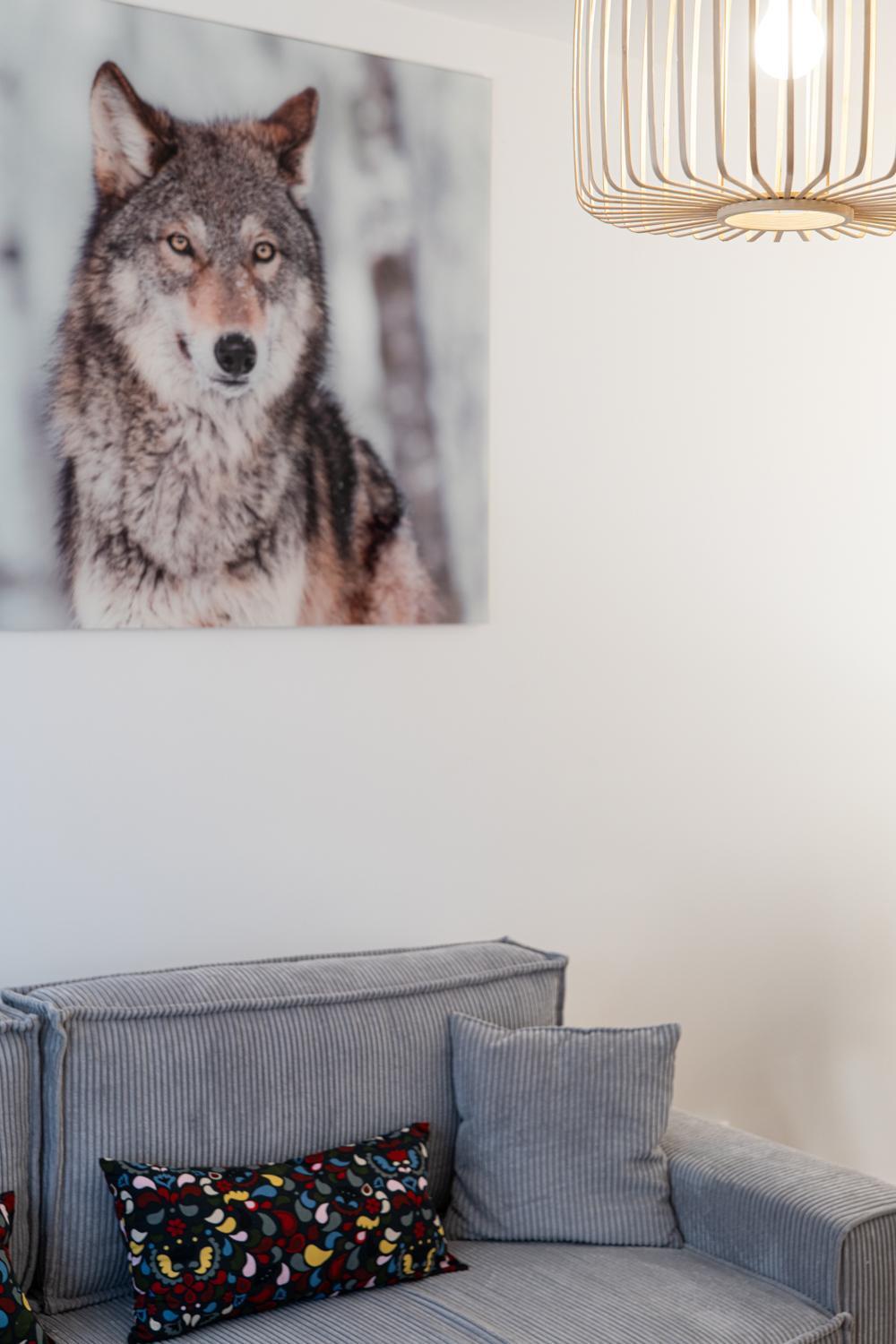 Festival -Appartement 3 Pieces Annecy Centre Ville מראה חיצוני תמונה